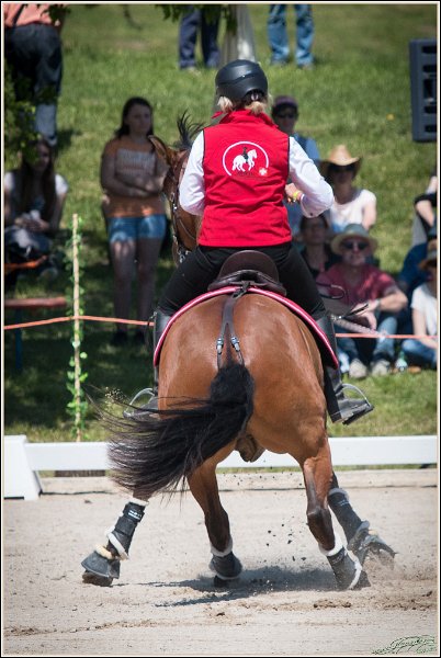Pferd International 067